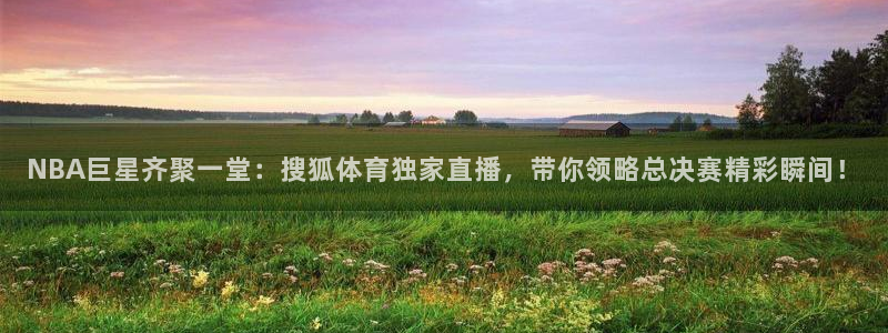 24直播体育网：NBA巨星齐聚一堂：搜狐体育独家直播，带你领略总决赛精彩瞬间！
