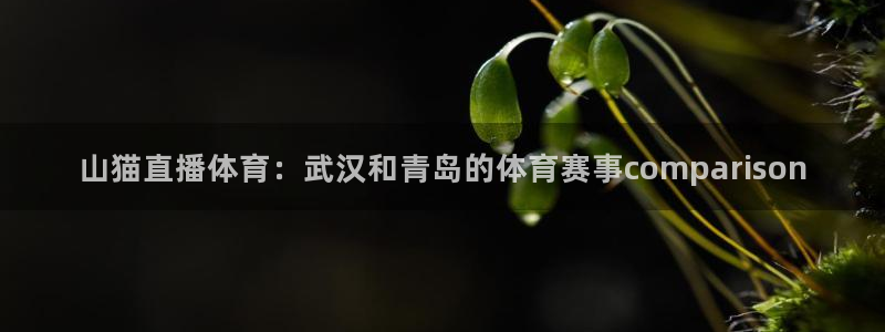 24直播网篮球：山猫直播体育：武汉和青岛的体育赛事comparison