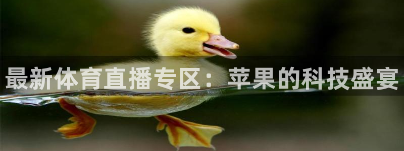 nba直播视频在线直播24直播网：最新体育直播专区：苹果的科技盛宴