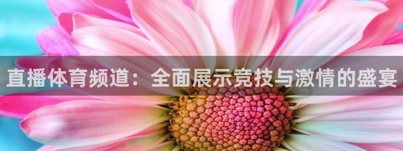 114624直播：直播体育频道：全面展示竞技与激情的盛宴