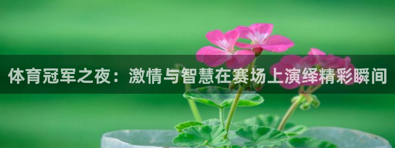 24直播体育：体育冠军之夜：激情与智慧在赛场上演绎精彩瞬间